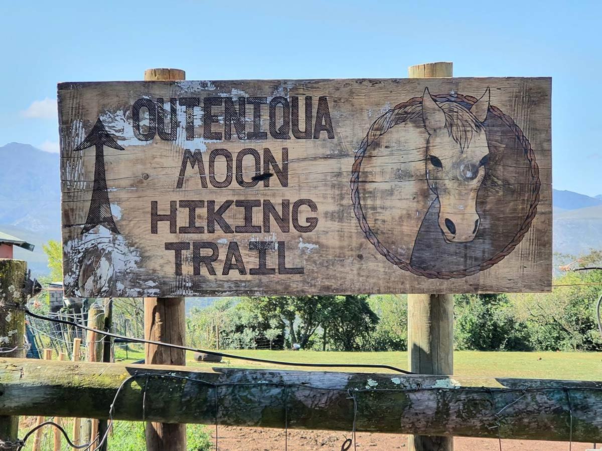 Outeniqua Moon Percheron Stud Farm Ruiterbos Ngoại thất bức ảnh