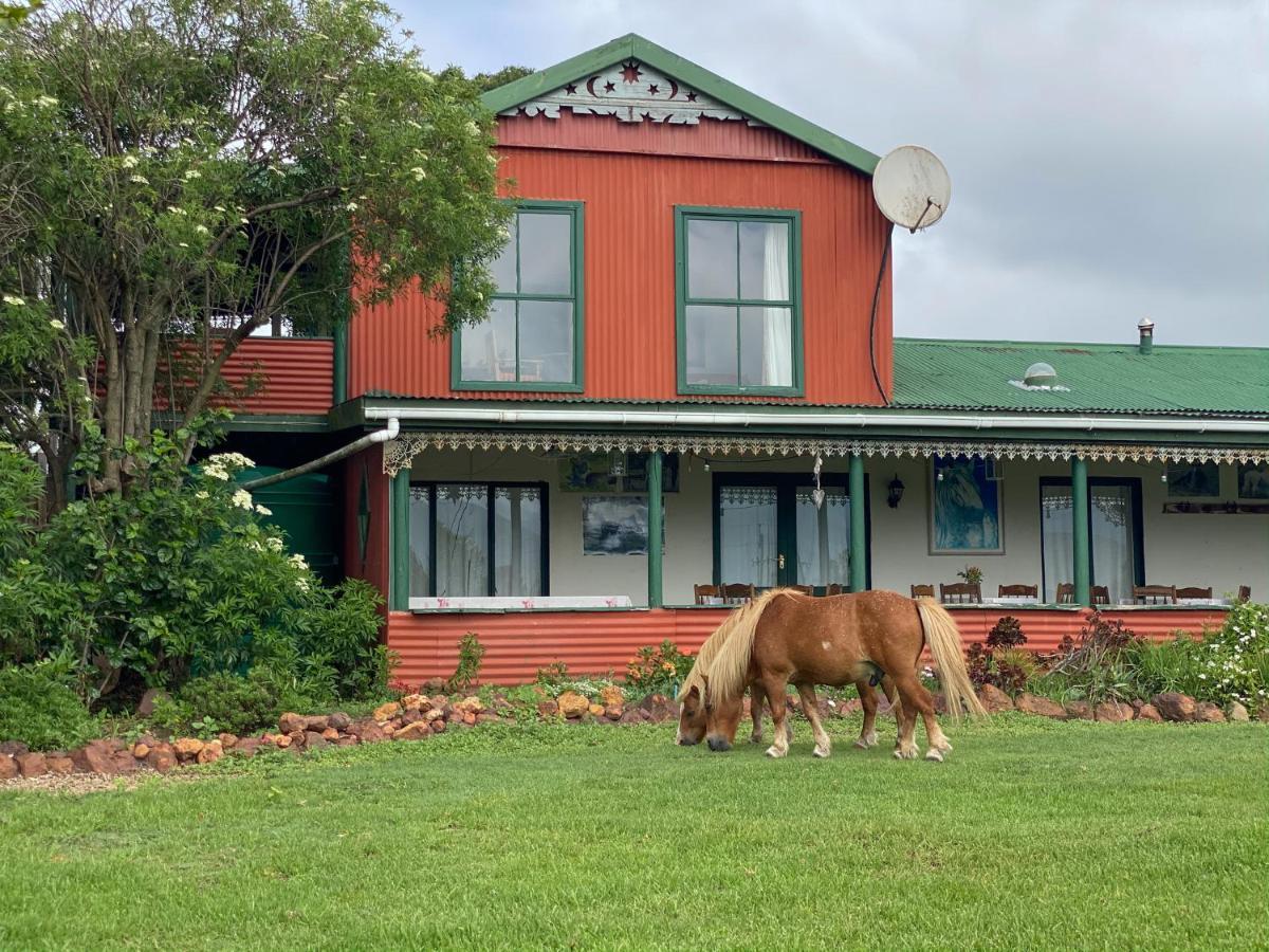 Outeniqua Moon Percheron Stud Farm Ruiterbos Ngoại thất bức ảnh