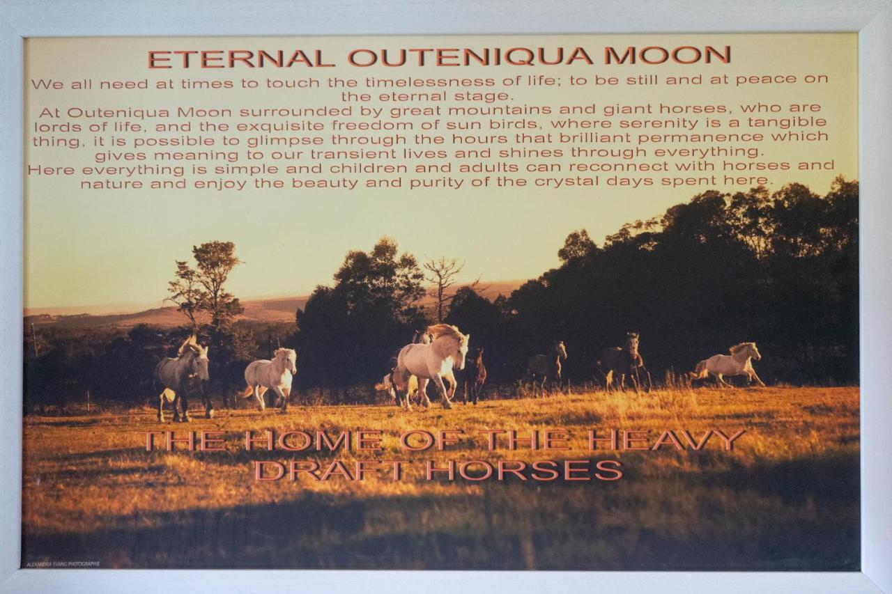 Outeniqua Moon Percheron Stud Farm Ruiterbos Ngoại thất bức ảnh