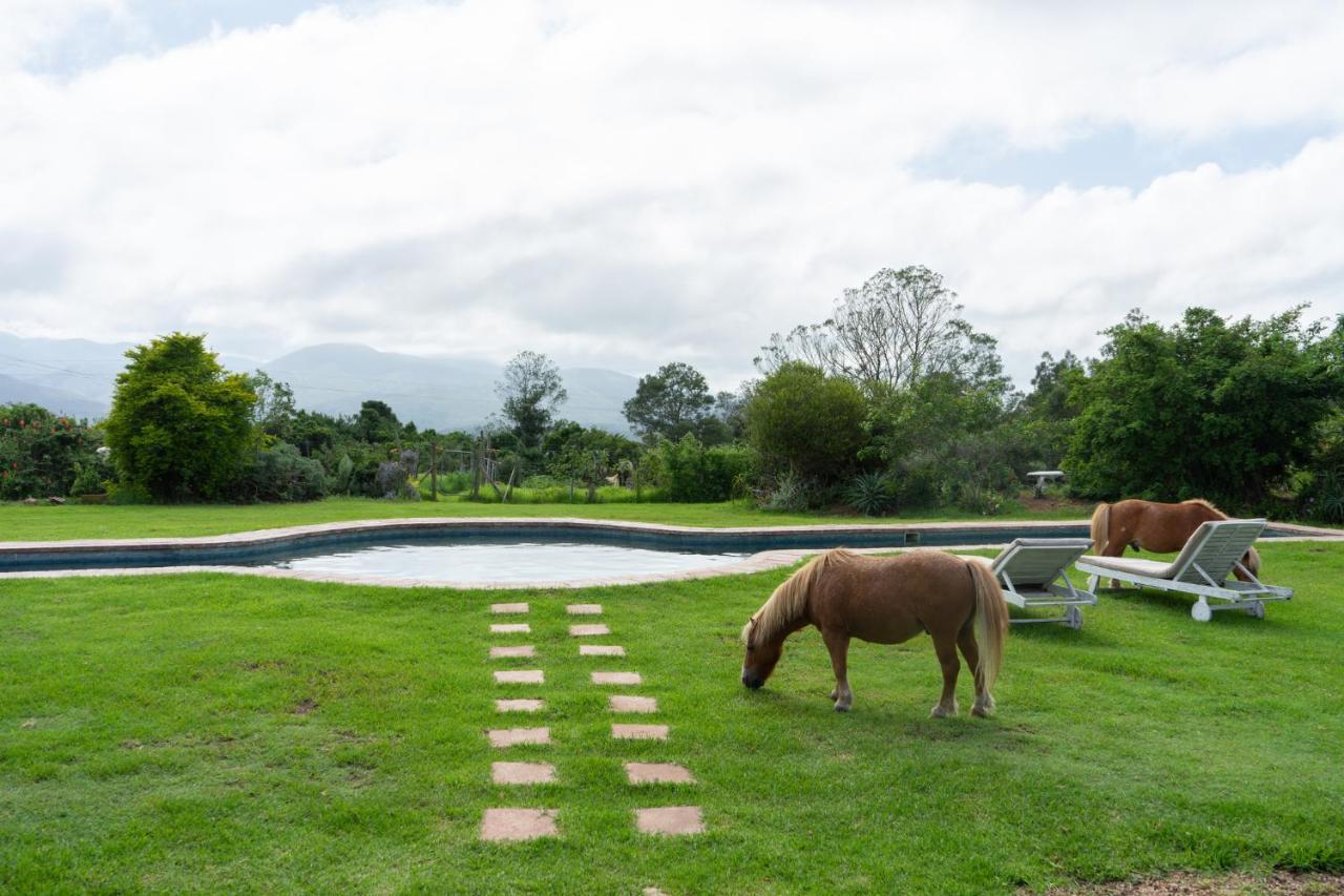 Outeniqua Moon Percheron Stud Farm Ruiterbos Ngoại thất bức ảnh